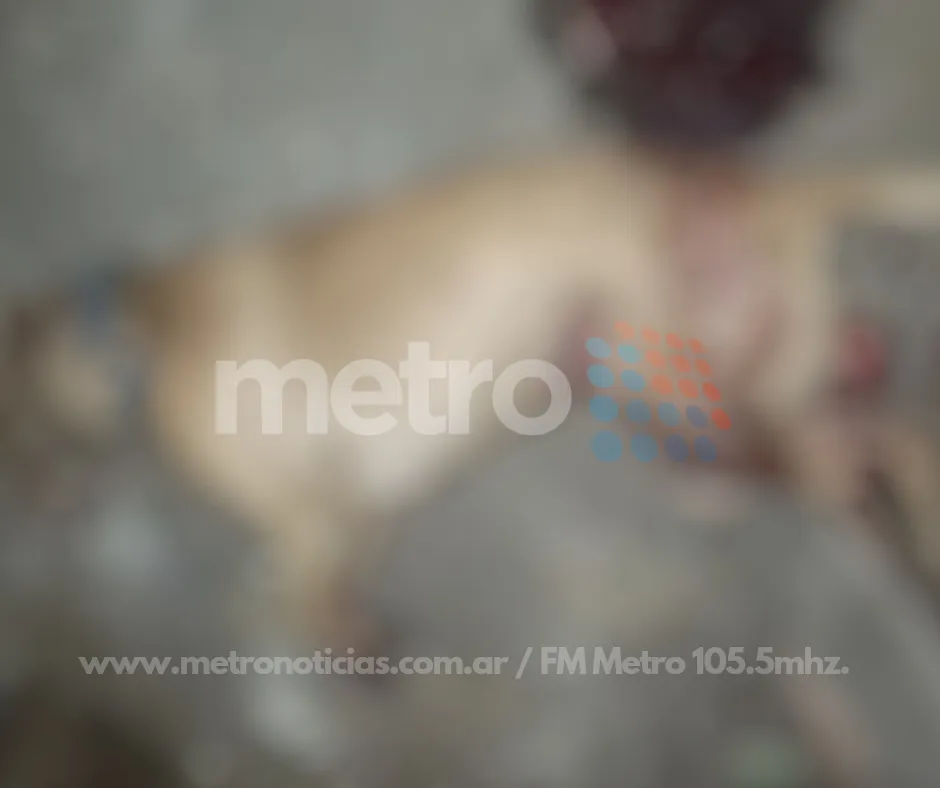 www.metronoticias.com.ar_20240814_214453_0000