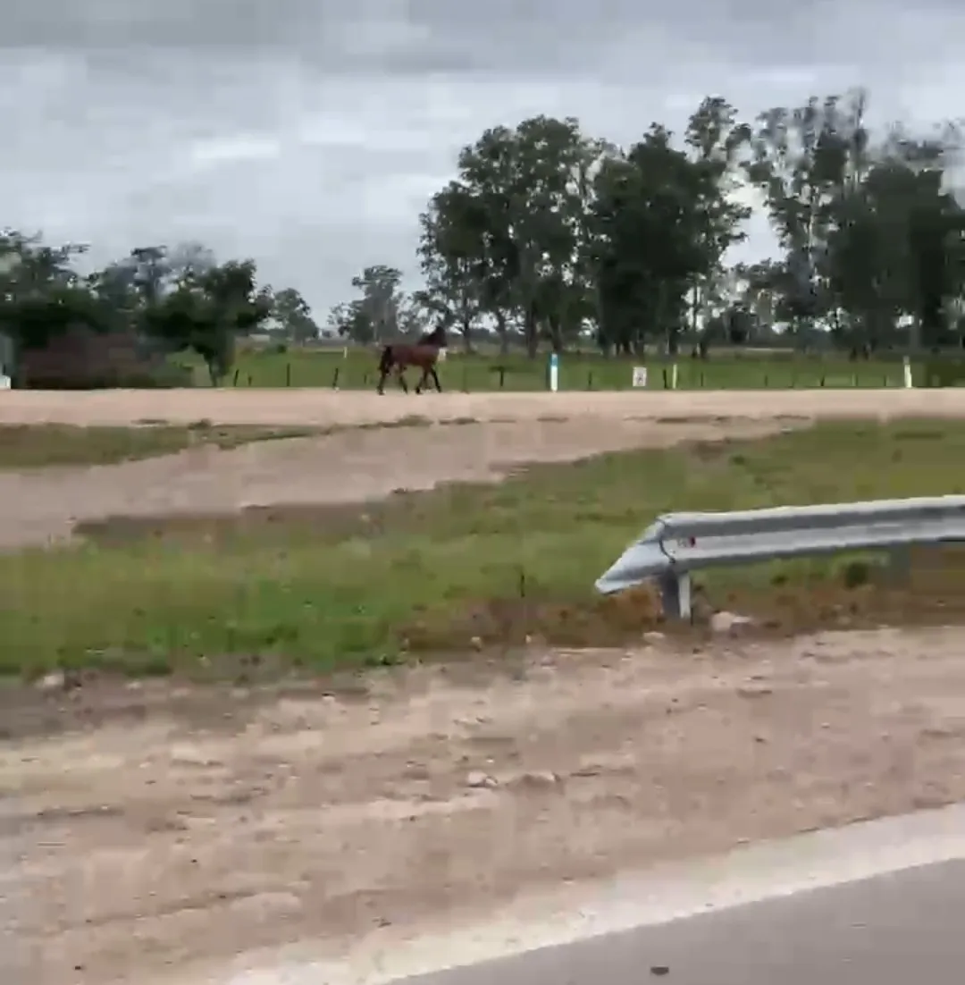 Screenshot_2025-05-19-10-21-39-453_com.whatsapp (1)