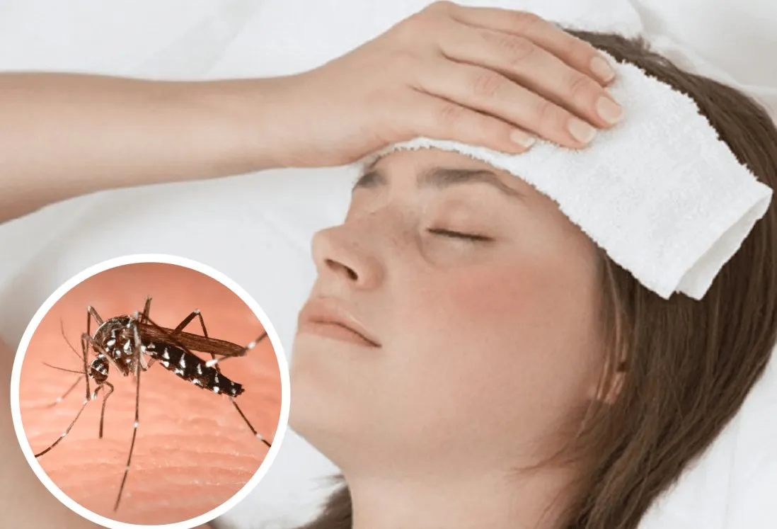 dengue-ok-focus-0-0-1098-747