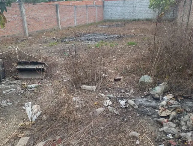 Captura de pantalla 2024-08-21 121300