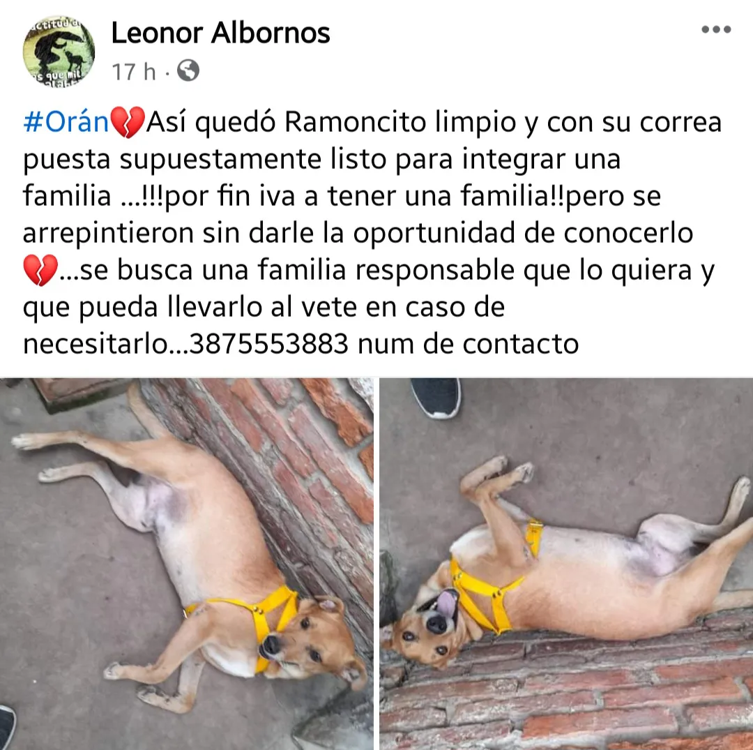 Screenshot_20240427_143014_Facebook